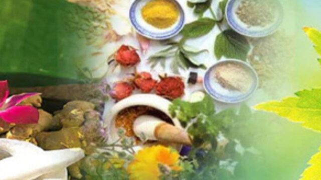 ayurvedic-herbs.jpg