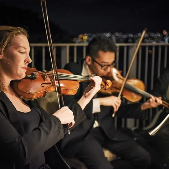 String Musicians Australia Live Music Hire