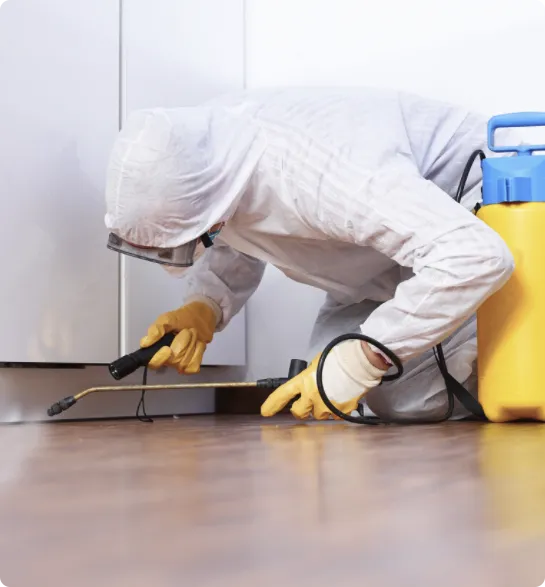 Same Day Pest Control Darwin