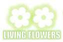 living_flowers_logo.jpg