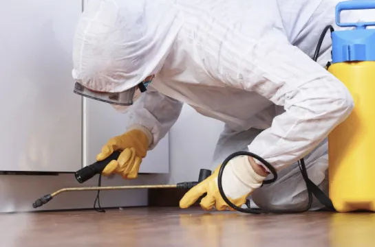 pestcontrol4.png